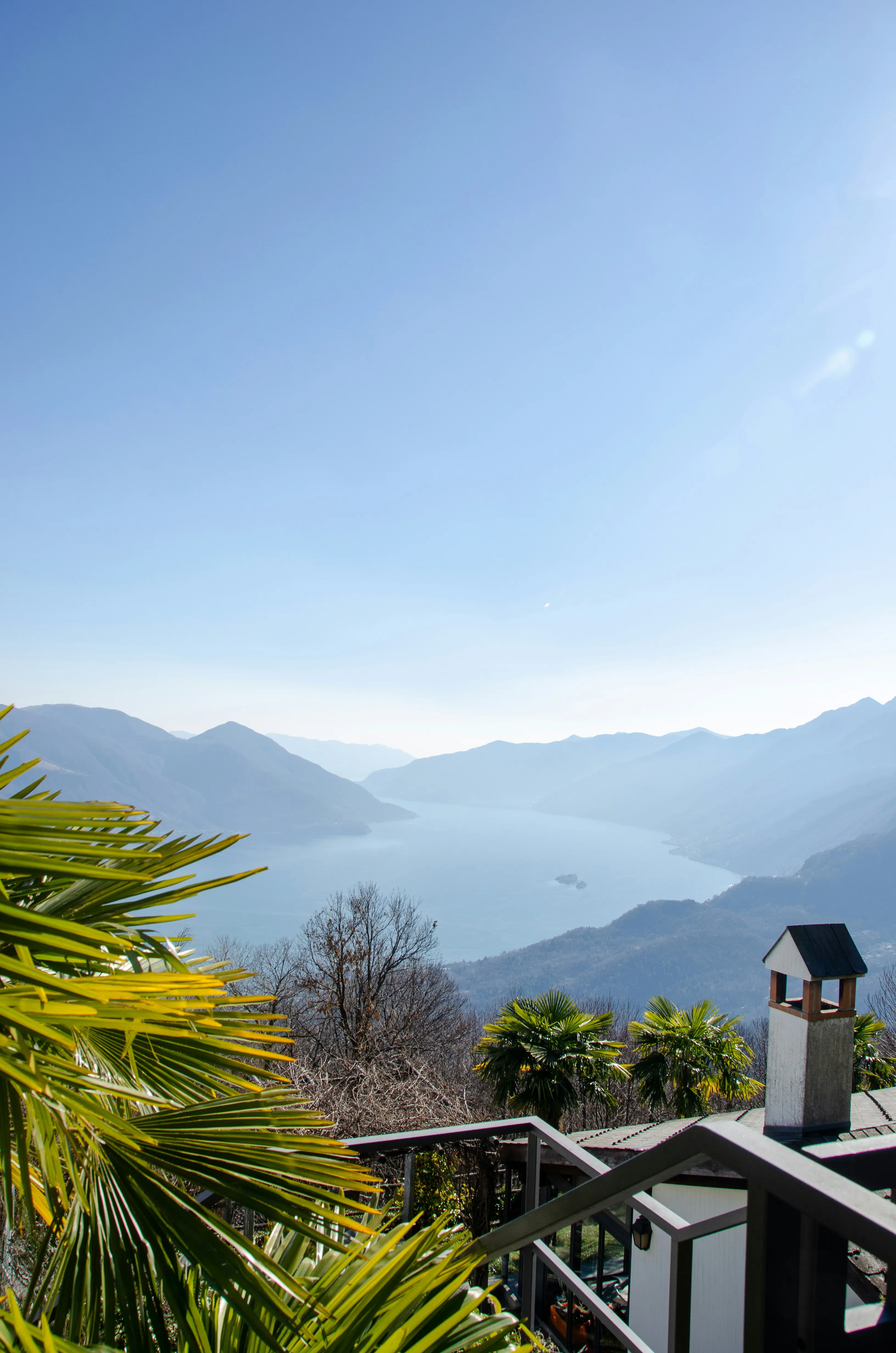 Palme und Blick über den Lago Maggiore bei Locarno